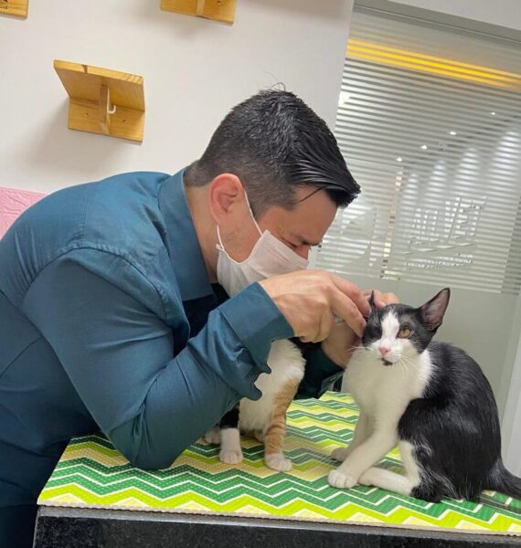 nery e buosi consulta cat friendly Nery e Buosi cat friendly
