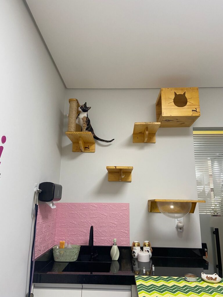 Consultório Nery & Buosi onde seu gato se sente como em casa