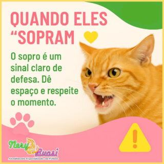 nery e buosi porque os gatos assopram