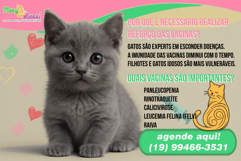 Banner Vacinação Felina