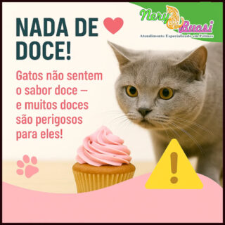 nery e buosi gato pode doce